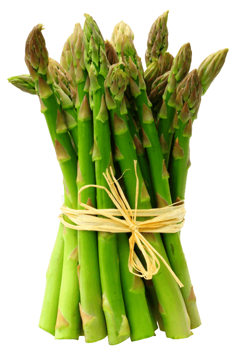 SuperFood Saturday: Asparagus – OptiHealth Products