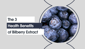 The 3 Health Benefits of Bilberry Extract 💙