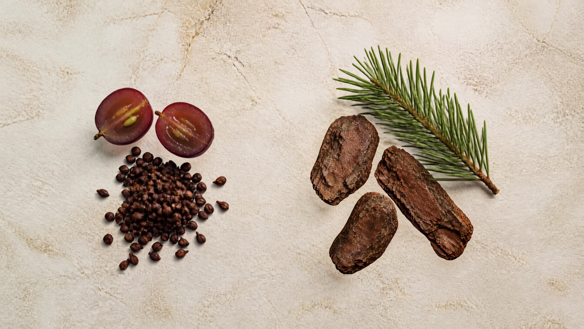 Grape seed vs. pine bark: why we use both