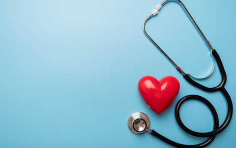 Guardians of the Heart: The Benefits of OPCs for Cardiovascular Wellness