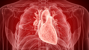 The Silent Culprit: Inflammation's Role in Heart Health