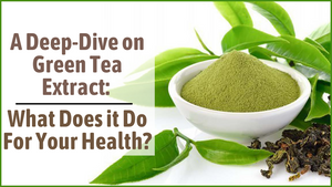 A Deep-Dive on Green Tea Extract: What Does It Do For Your Health?