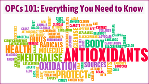 OPCs 101: Everything You Need to Know About These Powerful Antioxidants