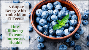 A Super Berry With Antioxidant Effects: How Bilberry Extract Improves Health