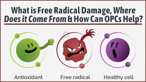 What is Free Radical Damage, Where Does it Come From & How can OPCs Help?