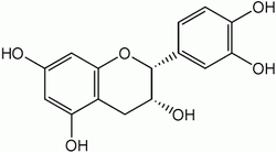 OPCs – Oligomeric Proanthocyanidins 101