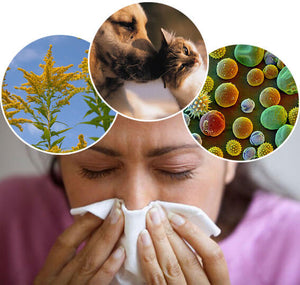 The Role of Oxidative Stress in Asthma and Allergies