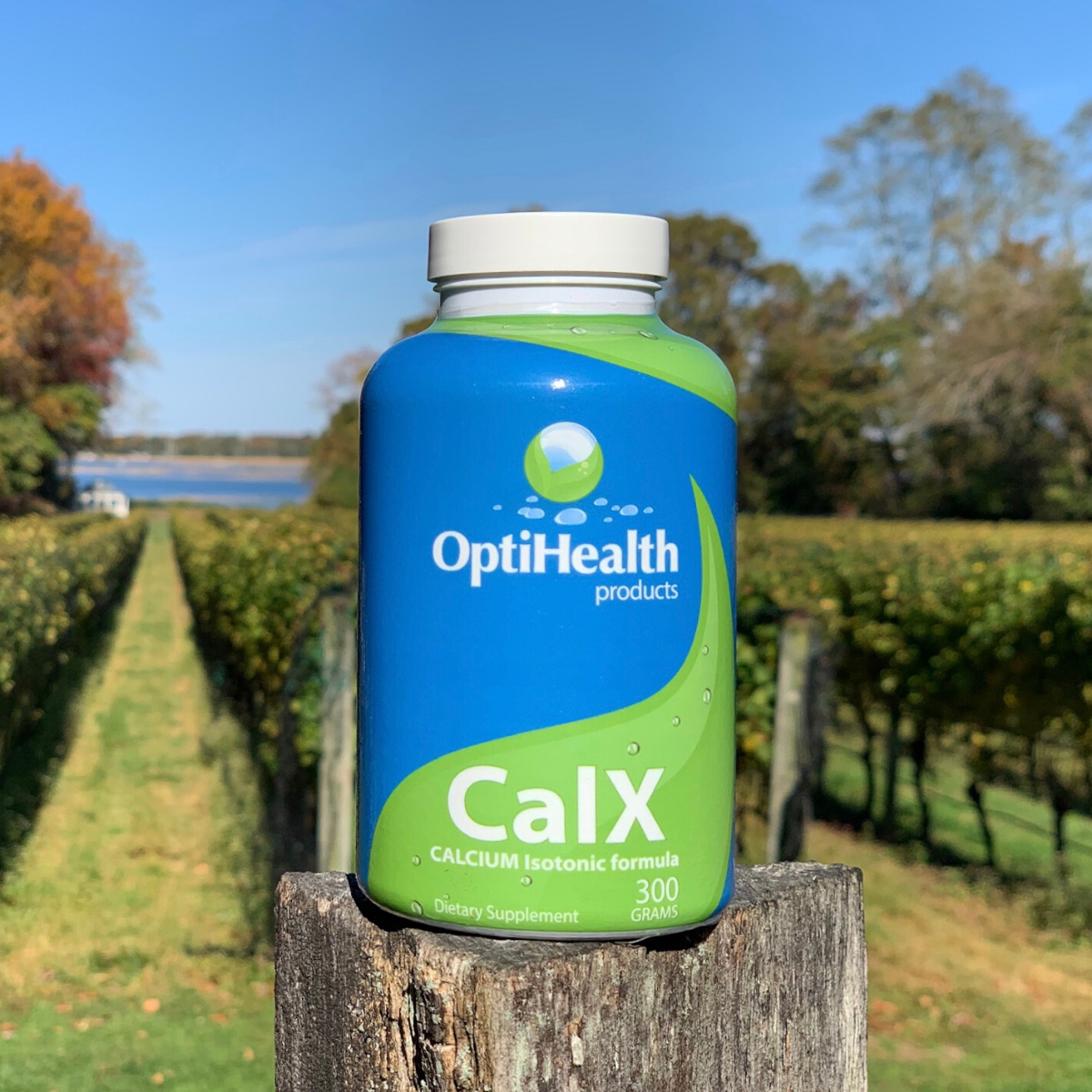 Calx Isotonic Calcium Magnesium Supplement With D3 Optihealth Products 8723